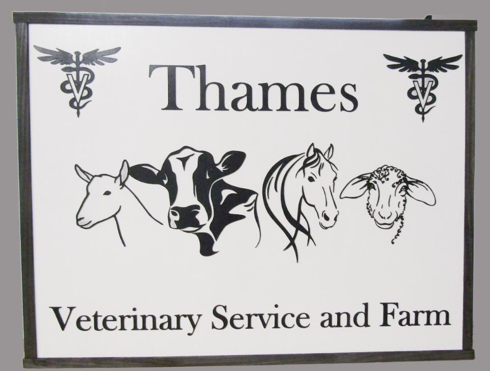 vet clinic sign