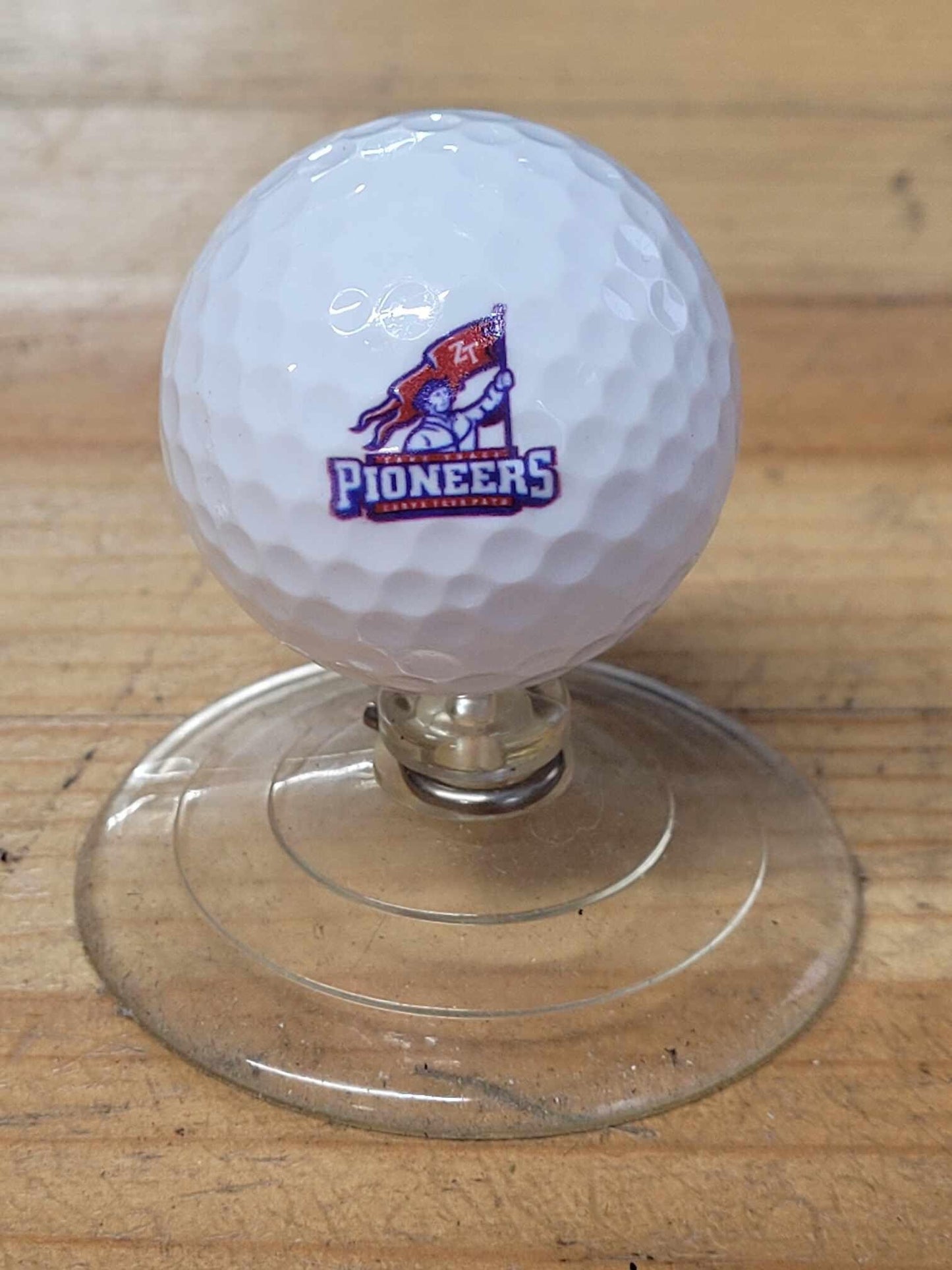 Golf Ball Fundraiser Idea School Logo Set Wholesale Golfer Team Sport Logo Printed Set Bulk Club Clubhouse Custom Personalized Your Logo