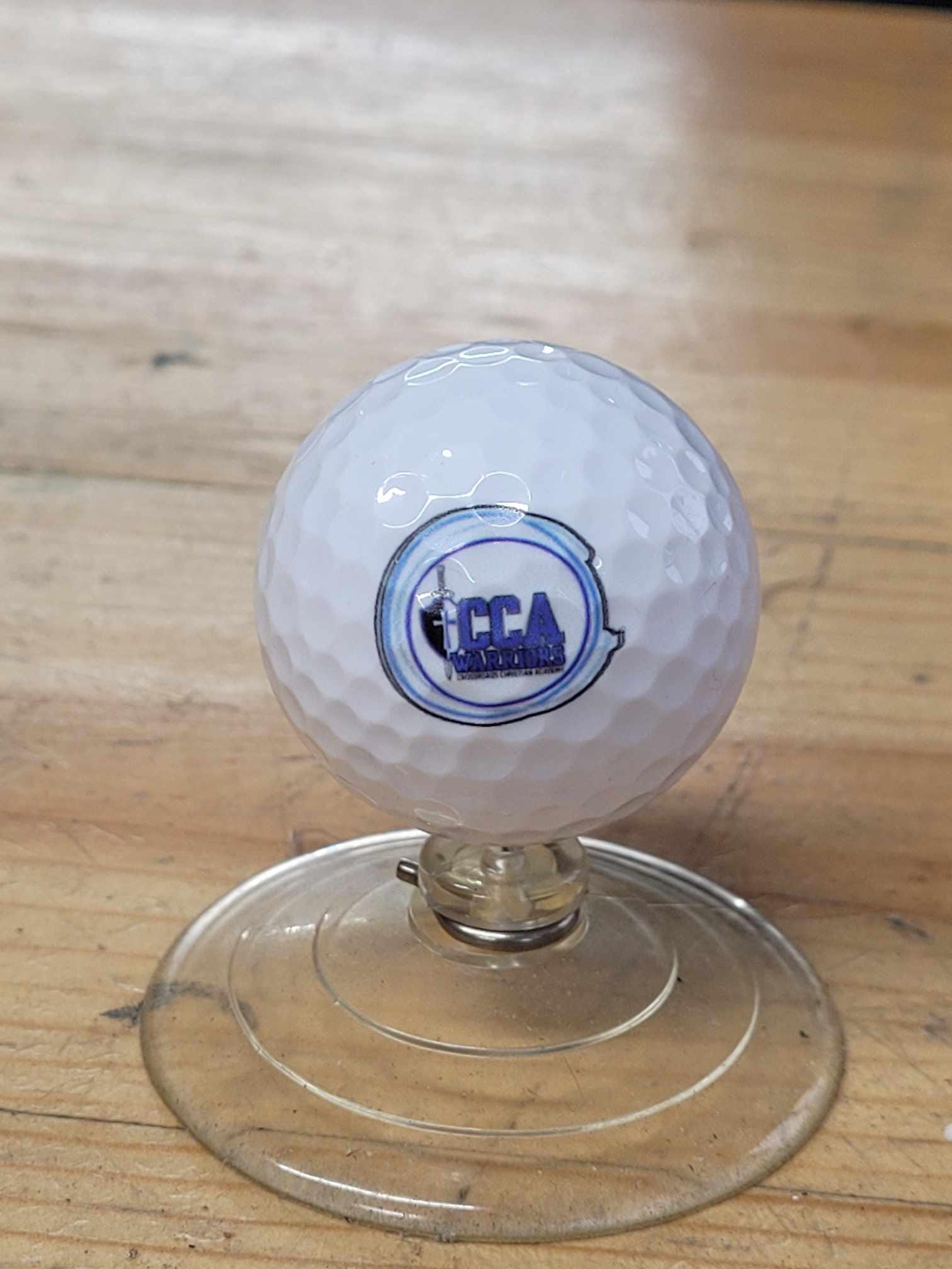 Golf Team Custom Golf Ball School Logo Set Personalize Your Own School District Local Golfer Sports Fundraiser Idea Small School Team Gift