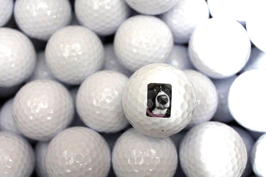 Your Image on a Golf Ball Custom Logo Personalized Picture Your Dog Pet on a Golf Ball Gag Gift Fathers Day Gift Wholesale Bulk Your Design!