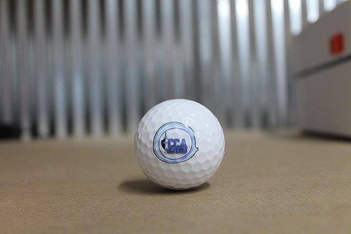 Golf Team Custom Golf Ball School Logo Set Personalize Your Own School District Local Golfer Sports Fundraiser Idea Small School Team Gift