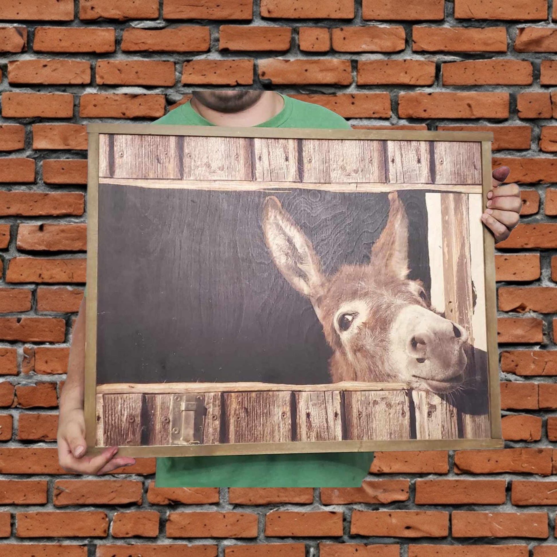 Donkey Mule Peek a boo Jack Barn Farm Hobby Animal Lover Cute Rustic Printed Living Room Home Decor Handmade Printed Livestock Framed