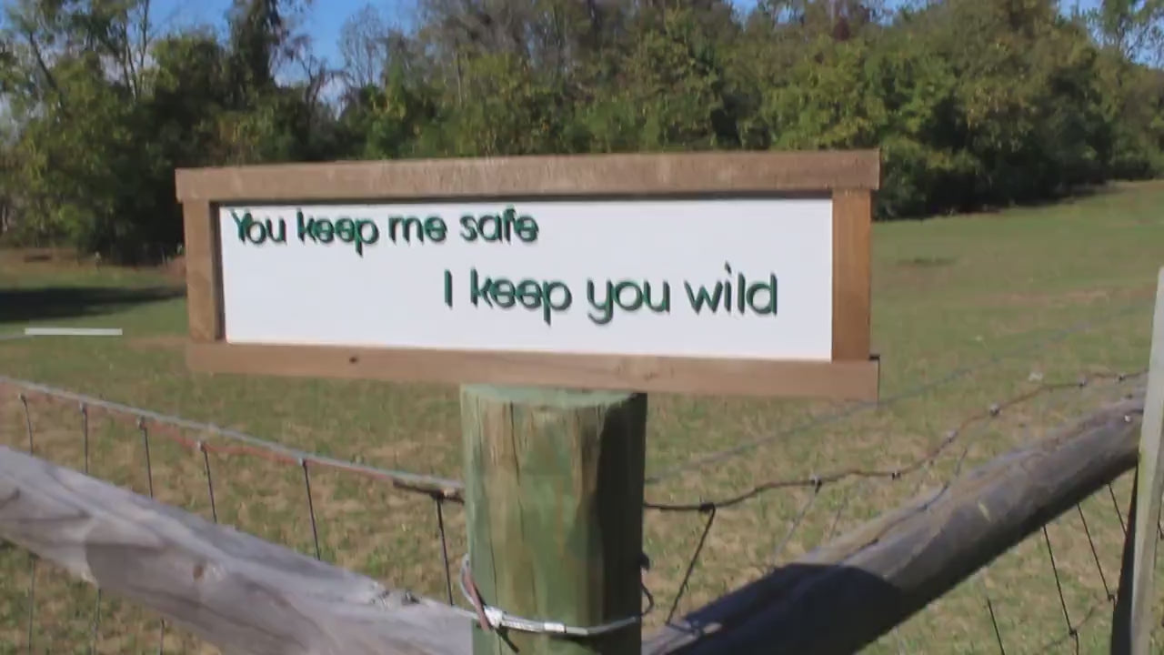 You Keep Me Safe Wood Sign 3D Raised Text Gift I Keep You Wild Wildside On The Safe Side Cute Kids Couples Rustic Handmade Farmhouse Sign